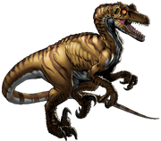 Antartic Alpha Raptor Portrait Art