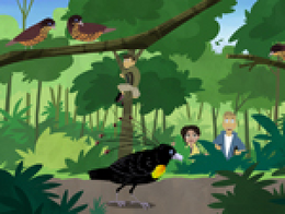 Pajaros de un mismo plumaje.png
