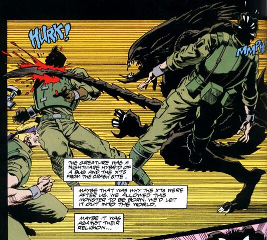 Файл:4082379-predalien-avp-duel-2.jpg