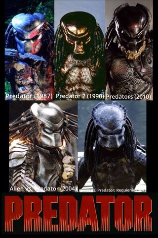 File:MainPredators.jpg