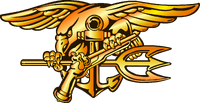 USSEALs Badge