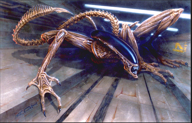 File:SylvainDespretzAlien.png