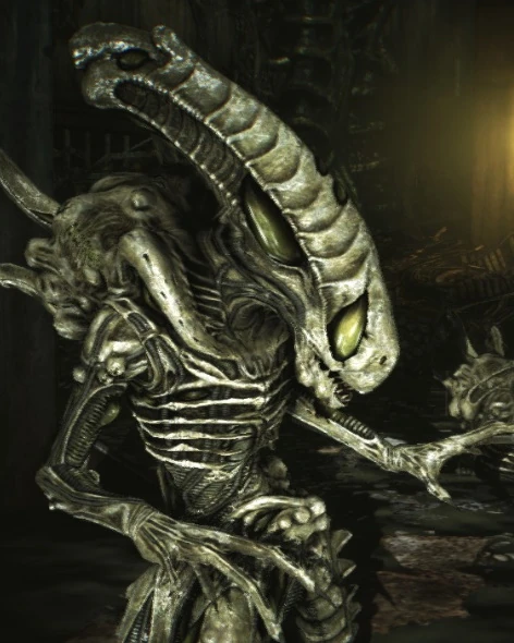 Boiler  Xenopedia  FANDOM powered by Wikia