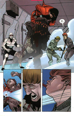 File:Batmanvspredator30131.jpg