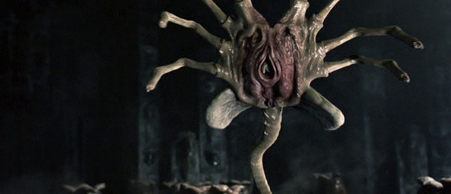 File:Facehugger Underside.png