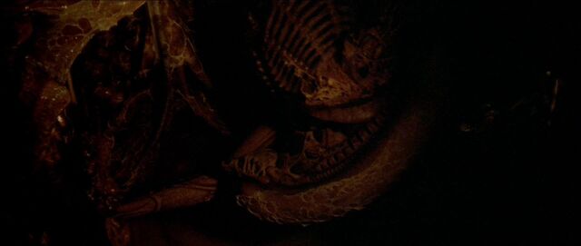 File:Dragon in wall.jpg