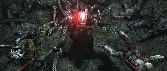 File:Avp victory.jpg