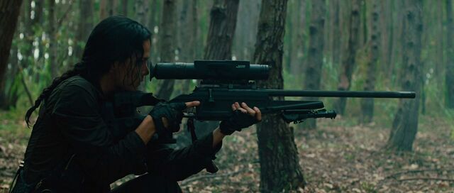 File:Isabelle with her Blaser.jpg