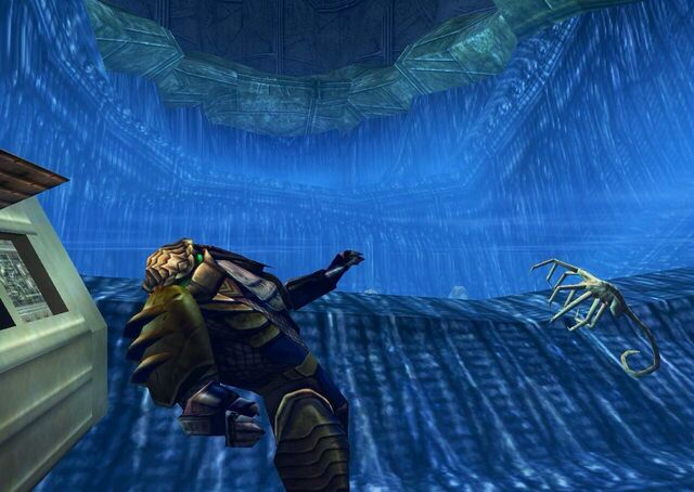 File:AvP2primalhunt010.jpg