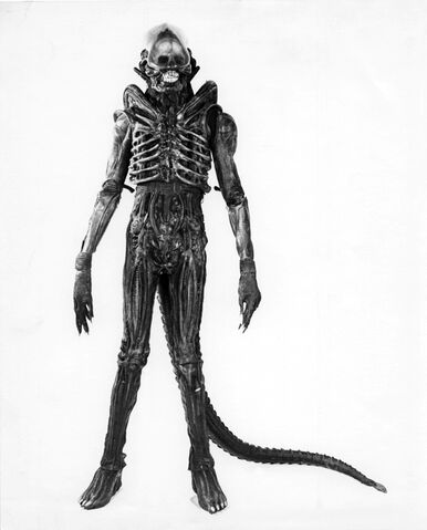 File:01060 Alien Sibthorp.jpg