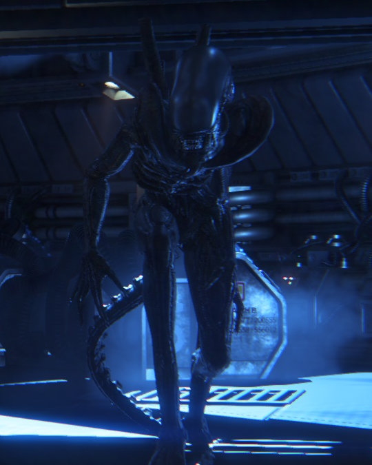 xenomorph alien isolation xenomorph alien isolation
