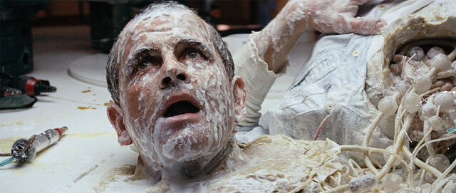 File:Large alien blu-ray 61.jpg