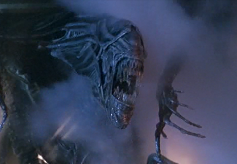 Image - Queen xenomorph.png | Xenopedia | FANDOM powered ...