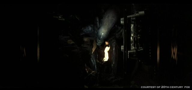 File:Alien-1979-alien-aliens-8255321-655-309.jpg