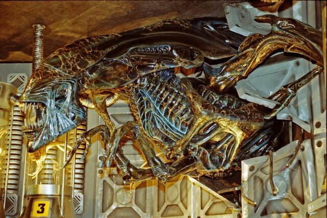 File:BHAlien Queen 05.jpg