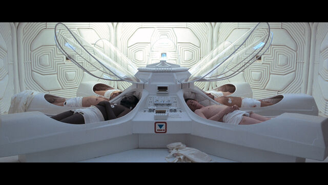 File:Alien Hibernation.jpg