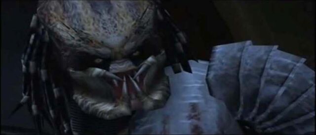 File:Predator-concrete-jungle 8.jpg