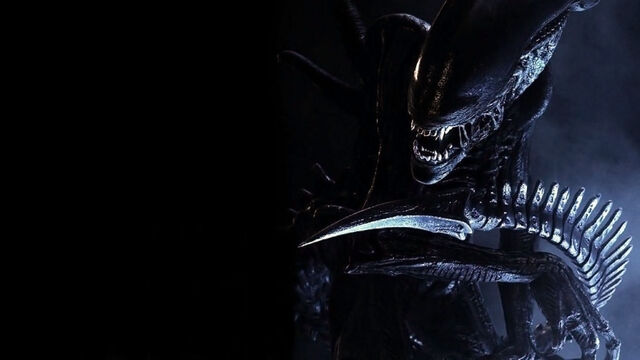 File:15258 aliens xenomorph.jpg