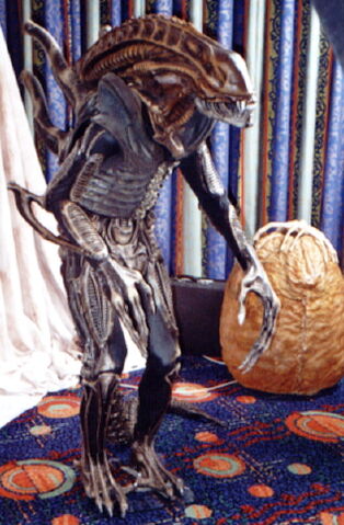 File:Rolf1.jpg