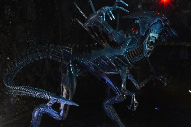 File:NECA-Alien-Xenomorph-Queen-10.jpg