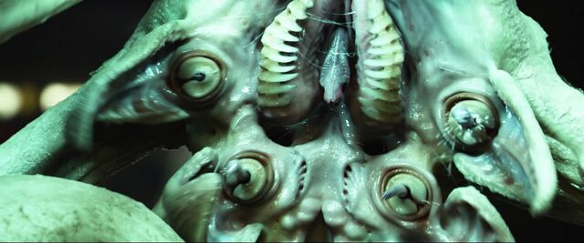 File:Trilobytemouth.jpg