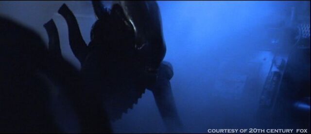 File:Alien-1979-alien-aliens-8255327-654-283.jpg