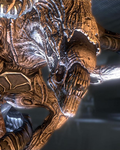 File:20131122132243!The Matriarch.png