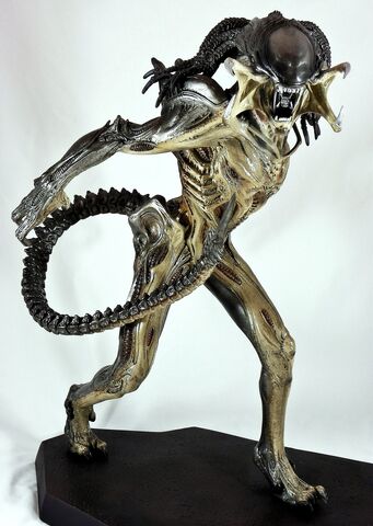 File:Predalien full.jpg