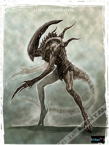 File:Edge Warrior.jpg