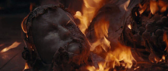 File:Ash's head is burnt.jpg