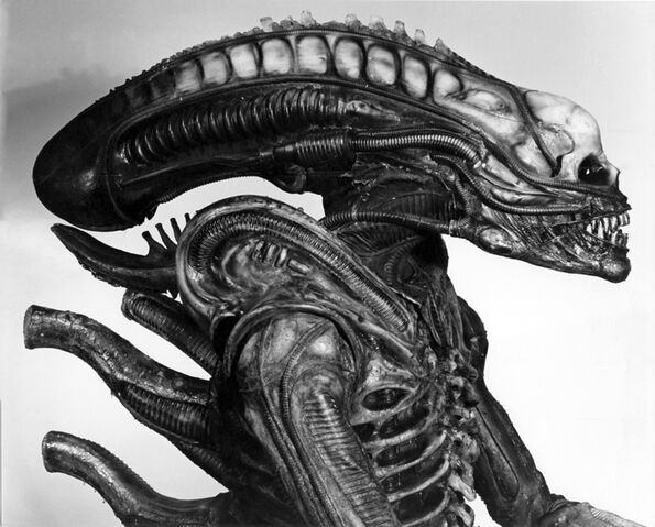 File:01061 Alien Sibthorp.jpg