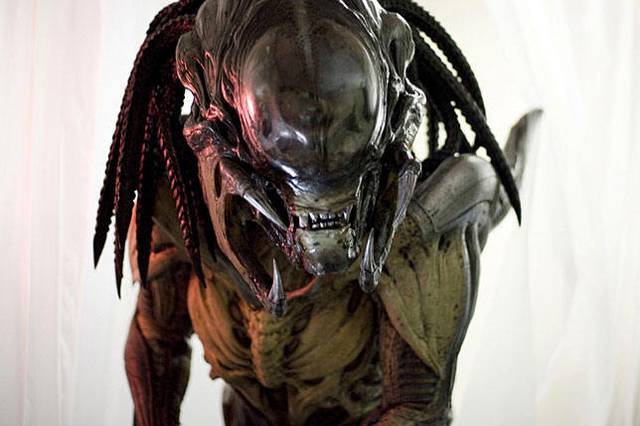 File:Predalien in Hospital.bmp