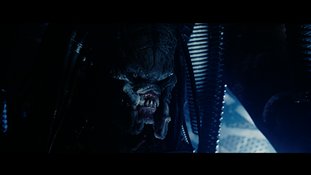 File:Wolf unmasked.png