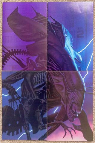 File:Back Cover Compilation of Queen 1989.jpg