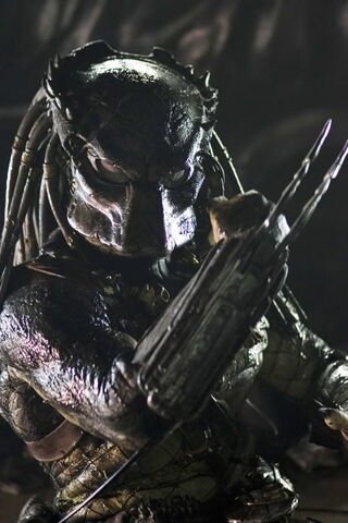 File:AVPR- Wolf4.jpg