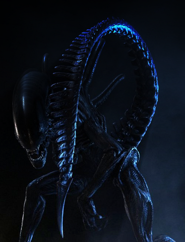 File:Xenomorph2.png