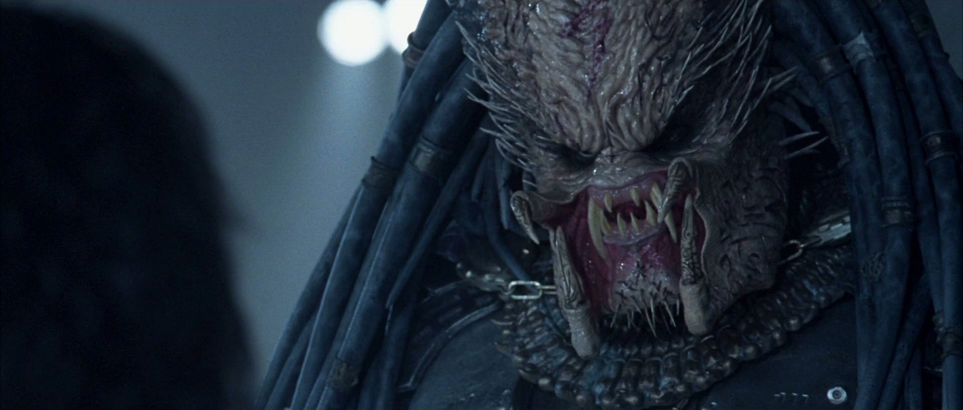 язык хищников. яутжа хищник. хищник the predator (2018) постер. хищник русском языке. хищник берсеркер маска.