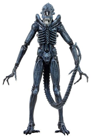 File:NECA Aliens Series-2 03.jpg