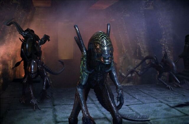 File:Normal still36.jpg