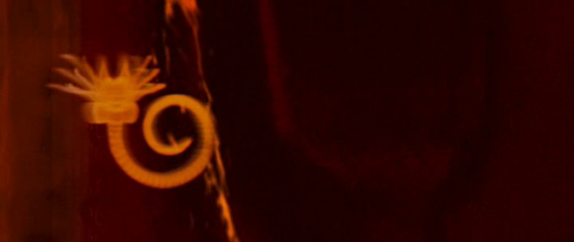 File:Facehugger vision.png