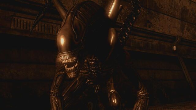 File:Xenomorph Warrior.jpg