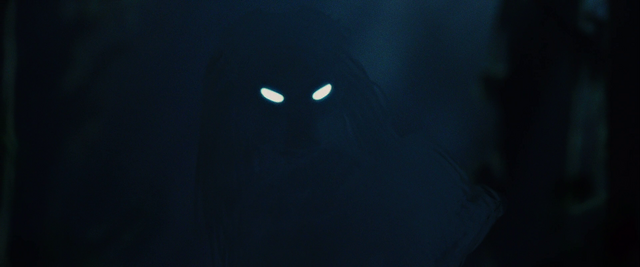 File:Wolf's eye flash.png
