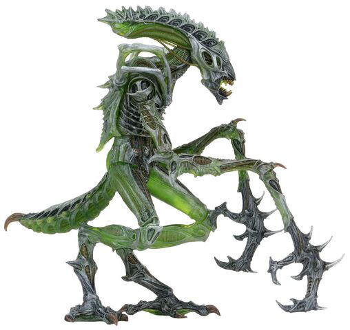 File:1200x-Mantis3-.jpg