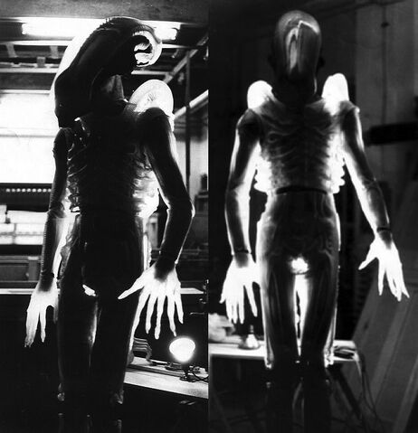File:Translucent Alien.jpg