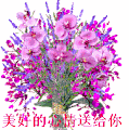 2013年4月8日 (一) 06:34的版本的缩略图