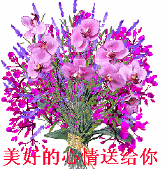 File:Txlz3ufjdm9-1-.gif