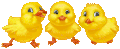 2013年4月5日 (五) 15:19的版本的缩略图