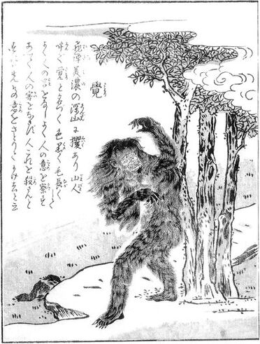 SekienSatori