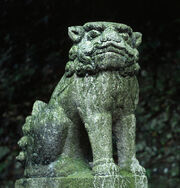Takao KomaInu
