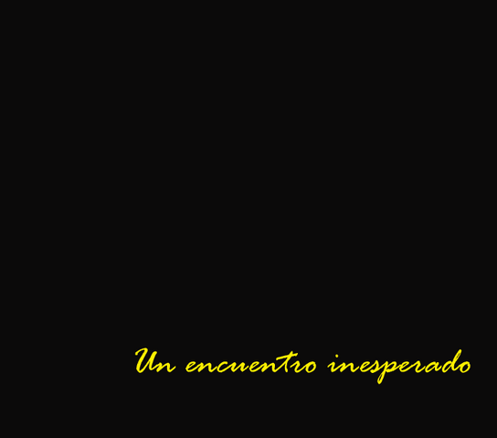 Archivo:Un encuentro inesperado.png